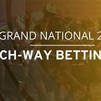 grand national each way bet calculator